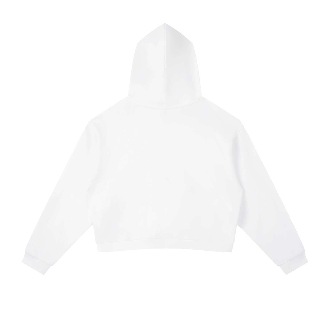Heritage Stripe Cropped Hoodie