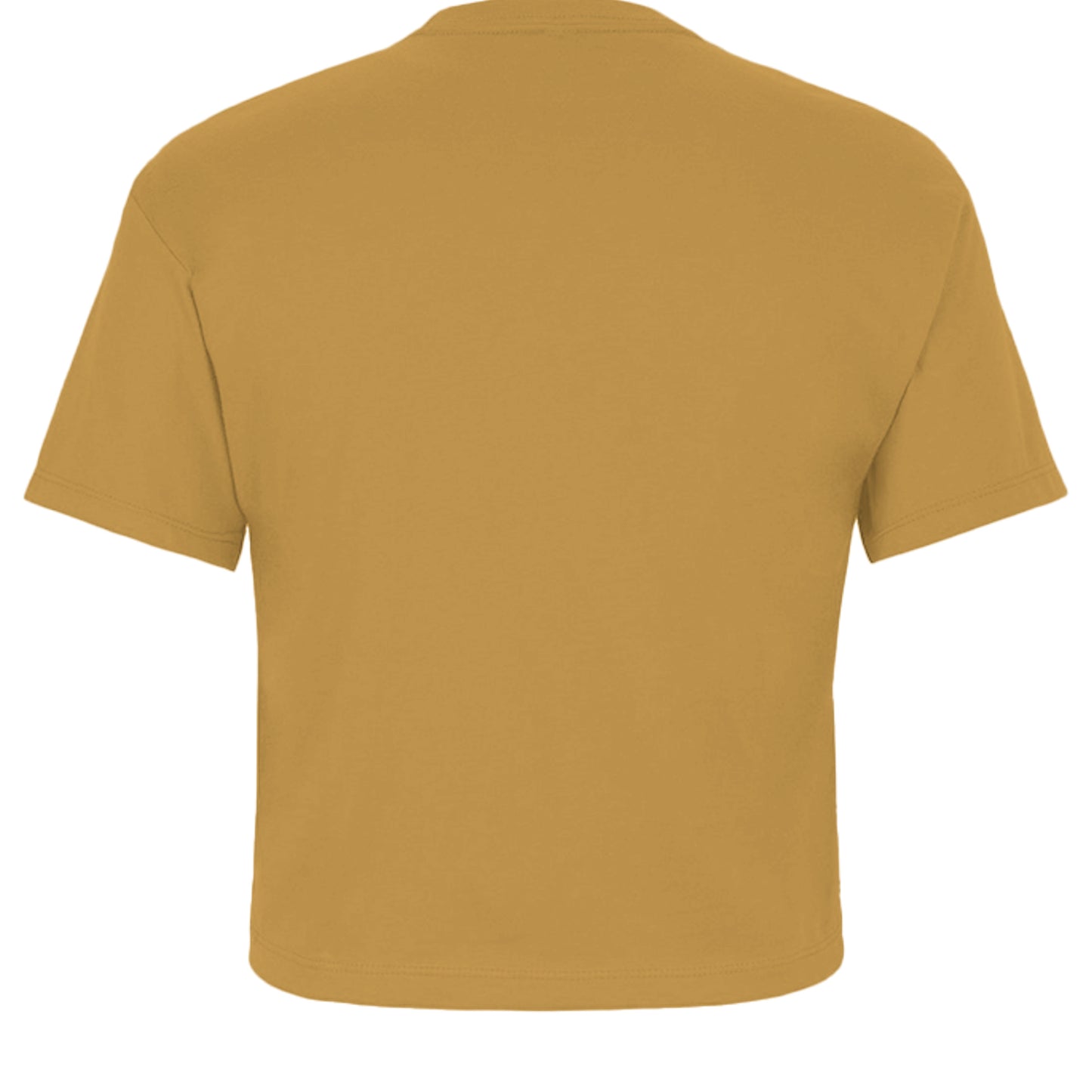 Antique Gold - 1580NL - BACK